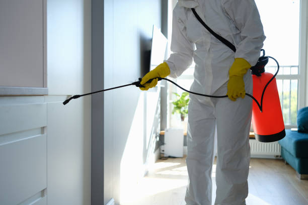 Best Air Quality Testing for Mold Spores  in Early, TX