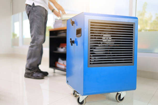 Best Forensic Mold Investigation  in Early, TX